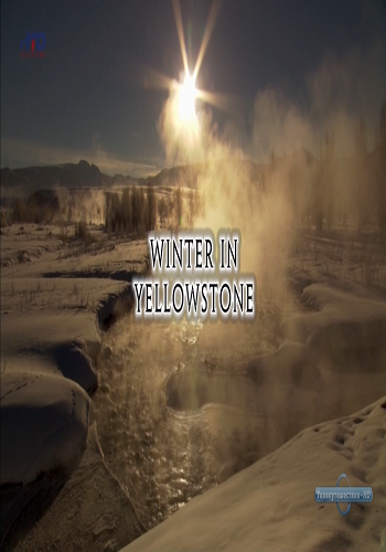 Зима в Йеллоустоуне / Winter In Yellowstone VO