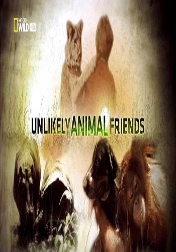 Странная дружба / Unlikely Animal Friends VO