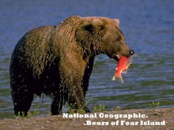 National Geographic. Медведи острова Страха / National Geographic. Bears of Fear Island DUB