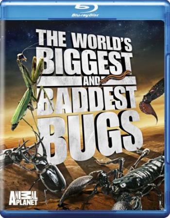 Самые большие и страшные жуки в мире / World's Biggest and Baddest Bugs VO