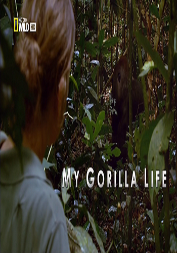 Моя жизнь с гориллами / My Gorilla Life VO