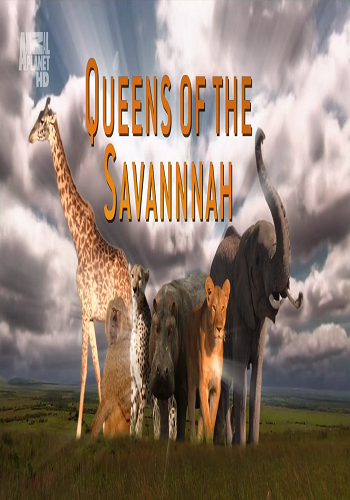 Королевы саванны / Queens Of The Savannah (3 серии из 3) DUB