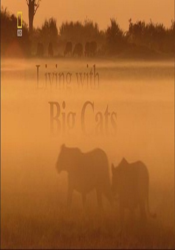 Жизнь среди больших кошек / Living with Big Cats VO
