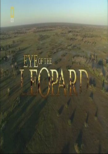 Глаз леопарда / Eye of the Leopard VO