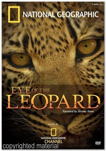 Глаз леопарда / Eye of the Leopard VO