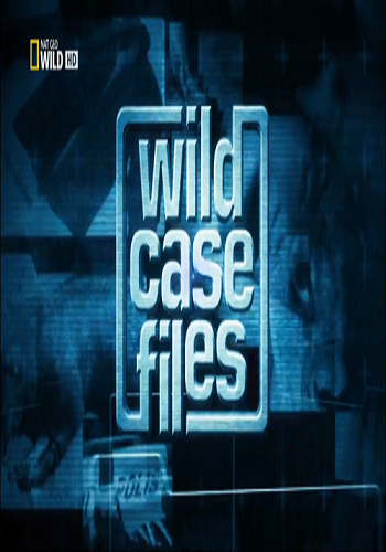 Секретные материалы природы. Гигантская паутина в Техасе / Wild Case Files VO