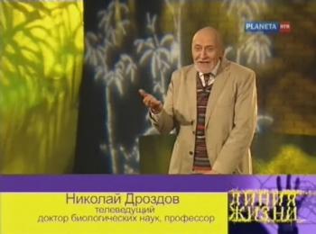 Линия жизни. Николай Дроздов
