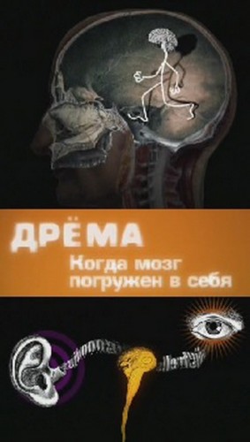 Дрёма. Когда мозг погружен в себя / Sleepiness. When your brain has a mind of its own MVO