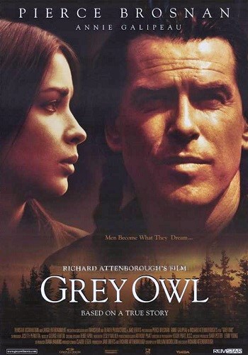 Серая сова / Grey Owl DVO