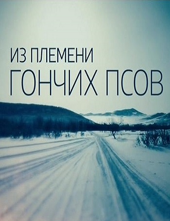 Из племени гончих псов (Эфир от 14.03.2017)