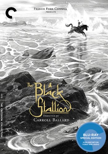 Черный скакун / The Black Stallion 2xDVO