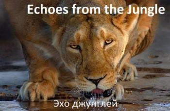 Эхо джунглей / Echoes from the Jungle (1-2 серии из 13) VO