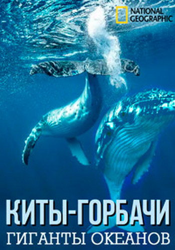 Киты-горбачи: гиганты океанов / Humpbacks Giants of the Ocean VO
