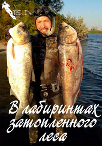 В лабиринтах затопленного леса (2 части из 2) /