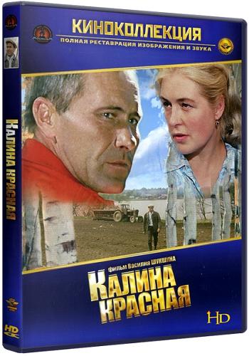 Калина красная /