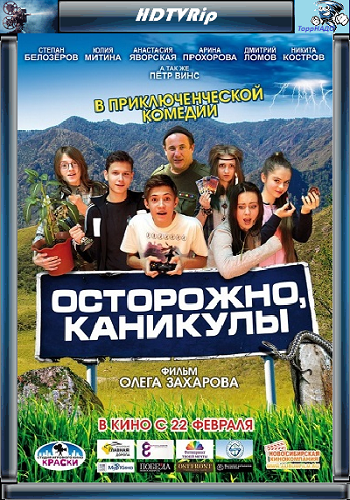 Осторожно, каникулы / Каникулы для геймеров