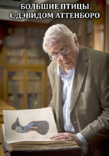 Большие птицы с Дэвидом Аттенборо / BBC Natural World: Attenborough's Big Birds VO