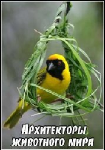 Тайны природы. Архитекторы животного мира / Secret Nature. Animal Engineers VO