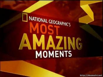 National Geographic : Cамые невероятные мгновения / National Geographic : Most amazing moments [