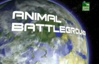 BBC: Арены звериных сражений (13 серий из 13) / Animal Battlegrounds