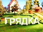 Грядка (эфир от 2010.05.02) /
