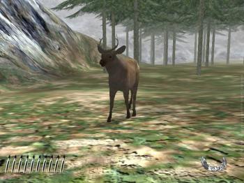 Canada Hunt