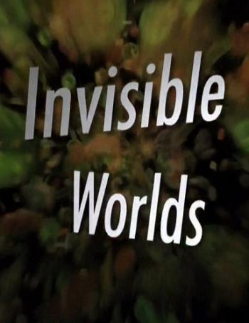 Discovery Science: Невидимые миры: Воздух. Вода. Наш Мир / Invisible Worlds VO