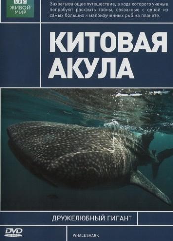 BBC: Китовая акула / BBC: Whale Shark VO