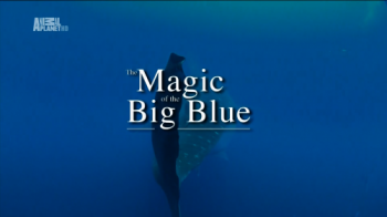 Чудеса голубой планеты. Семь континентов / The Magic Of The Big Blue. Seven Continents (7 серии из 7) DUB