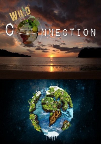 Соединяя континенты (1-6 серии из 6) / Wild Connection VO