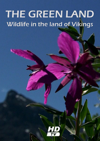 Гренландия: Дикая природа страны викингов / The Green Land: Wildlife in the Land of Vikings DVO