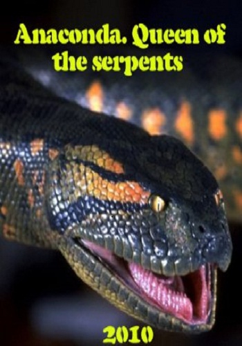 National Geographic: Анаконда. Королева змей / National Geographic: Anaconda. Queen of the serpents VO