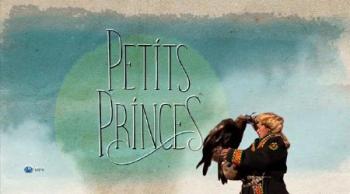 Маленькие принцы в царстве зверей (1-4 серии из 4) / Petits Princes DVO