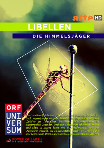 Небесные охотники. Мир стрекоз / Libellen. Die Himmelsjaeger DUB