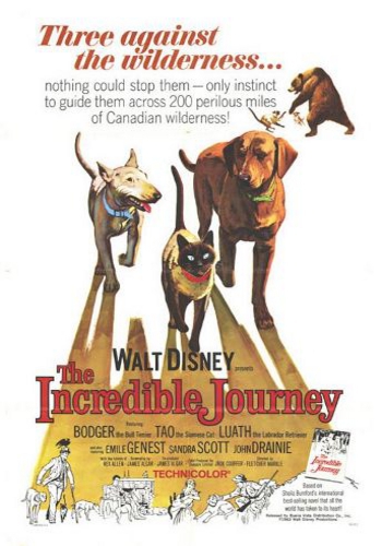 Невероятное путешествие / The Incredible Journey MVO