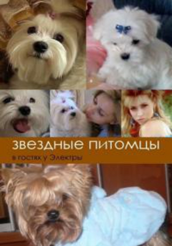 Звездные питомцы. Электра