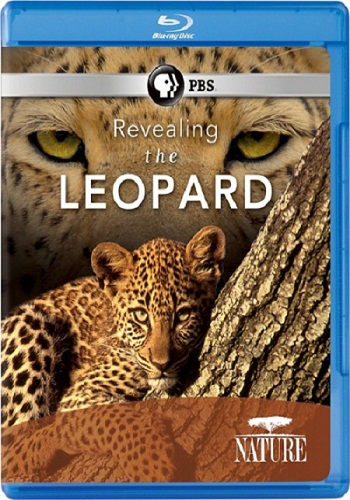 Тайная жизнь леопарда / PBS Nature: Revealing the Leopard VO