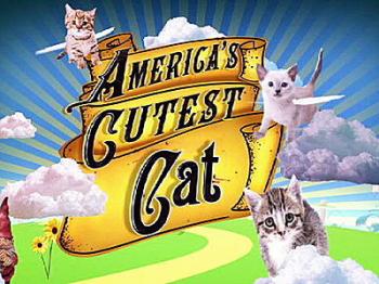Animal Planet: Самые милые питомцы Америки (1-7 серии из 7) / Animal Planet: America's Cutest VO