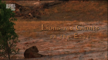 Animal Planet. Львы и Великаны / Animal Planet. Lions and Giants on the Edge DUB