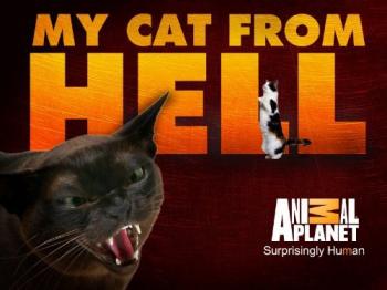 Адская кошка / My Cat From Hell (3 серии из 3) (1) VO