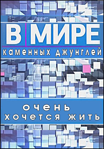 В мире каменных джунглей