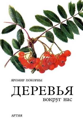 Деревья вокруг нас