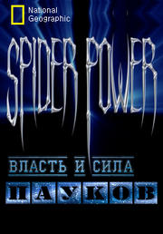 Власть и сила пауков / Spider Power