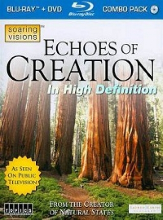 Отзвуки Творения / Echoes of Creation