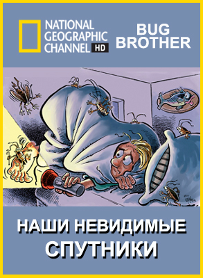 National Geographic: Наши невидимые спутники / Bug Brother