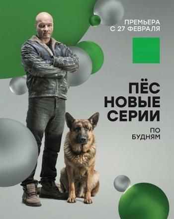 Пёс (3 сезон: 1- серии из 20)