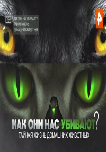 Как они нас убивают? Тайная жизнь домашних животных (Эфир от 18.08.2017)