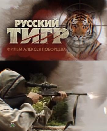 Русский тигр / Фильм Алексея Поборцева