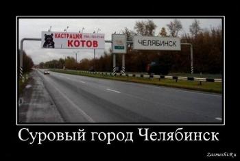 Демативаторы. Челябинск (50) шт