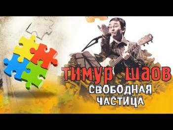Тимур Шаов - Свободная частица (2006)